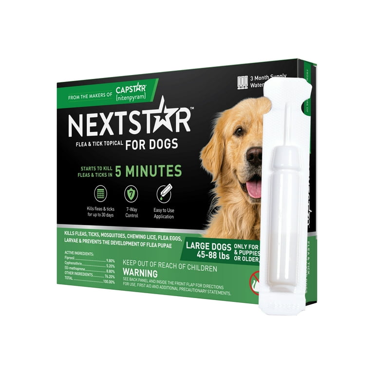 Can You Carry A Dog In Walmart