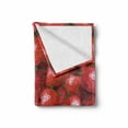 thumbnail image 2 of Summer Soft Flannel Fleece Throw Blanket, Fruit Theme Illustration Strawberries Pattern Vibrant Ripe Juicy Organic Food, Cozy Plush for Indoor and Outdoor Use, 50" x 70", Jade Green Red, by Ambesonne, 2 of 6