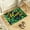 C, variant on St. Patrick's Day Door Mat Holiday Welcome Mat Non-Slip Absorbent Bath Rug Rubber Backing Washable for Indoor Outdoor Festival Decor