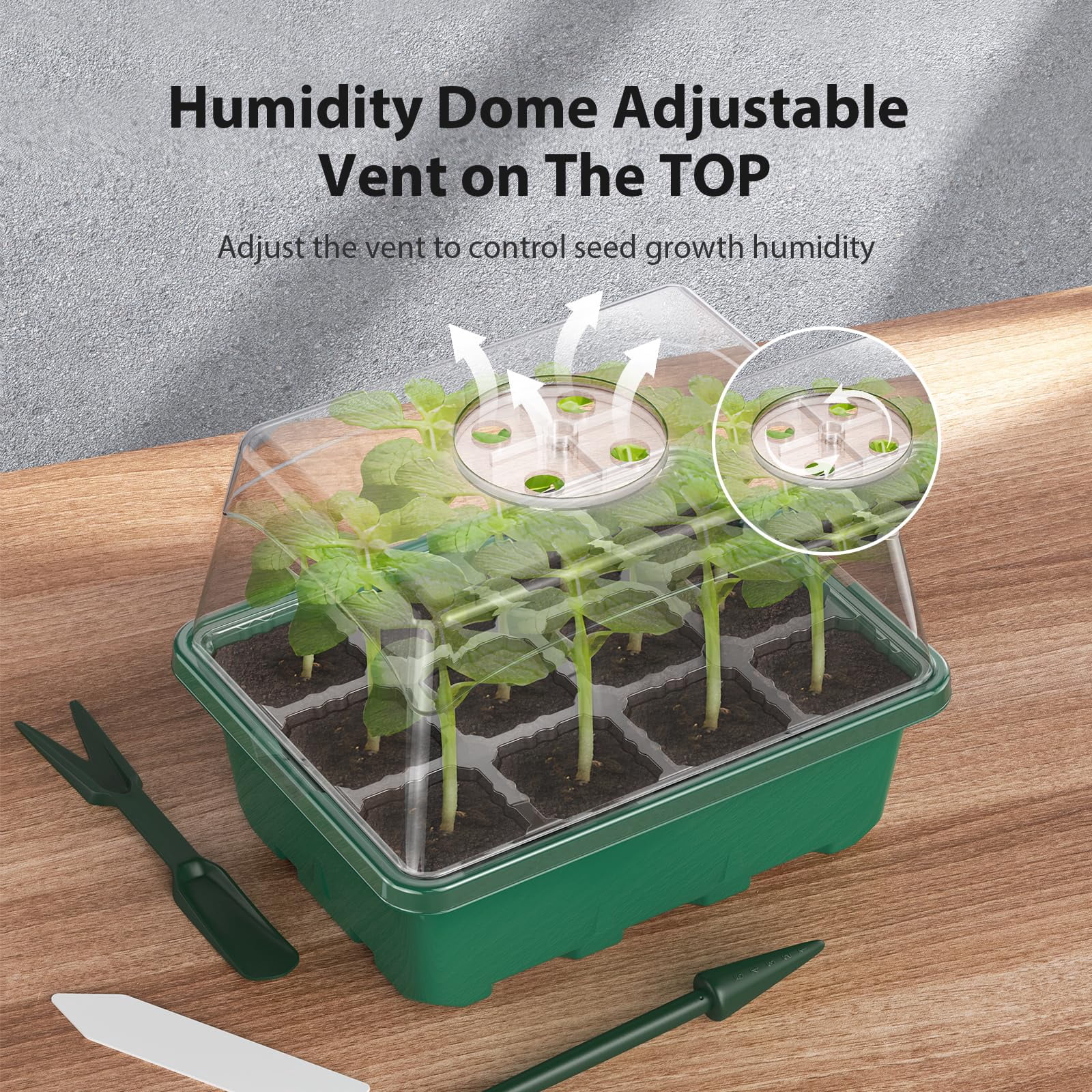Seed Starter Tray,with Heightened Lids,Indoor Gardening Plant Germination Trays (12 Cells) 10PCS