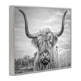thumbnail image 3 of Stupell Industries Black and White Highland Cow Photograph Framed Wall Art by Joe Reynolds, 3 of 9