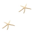 thumbnail image 2 of Ounissouiy Natural White Finger Starfish Lightweight Portable Starfish Waterproof Home Decor Exquisite Window Decorations Type2 NO2, 2 of 6