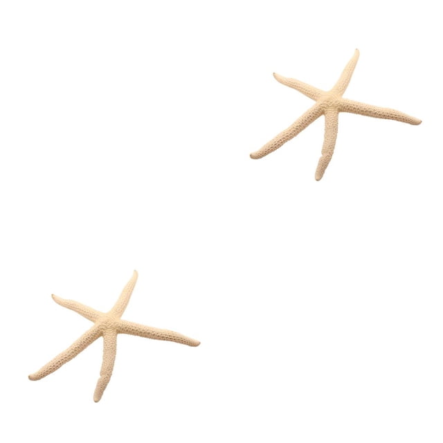 Moyic Natural 5-12 cm/10-12 cm dedo blanco estrella de mar mar elegante hogar pelo boda decoración y proyecto artesanal Type1 NO1