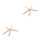 thumbnail image 2 of Decoración de hogar Inteprter estrella de mar natural Color blanco tamaño 5-10cm, 2 of 6