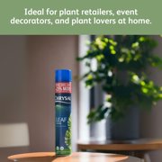 Chrysal Leafshine Aerosol Spray 25 Ounces Bundled (12 Pack)