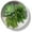 Aged Zinc, variant on Modern Home Round Living Wall Mounted Galvanized Steel/Zinc Succulent/Herb Planter - Indoor/Outdoor Living Art Potting Vessel Rust Zinc - Small 8" x