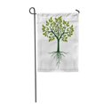 thumbnail image 1 of JSDART Branch Green Tree Roots Silhouette Line Outline Plant Pattern Bare Garden Flag Decorative Flag House Banner 28x40 inch, 1 of 1