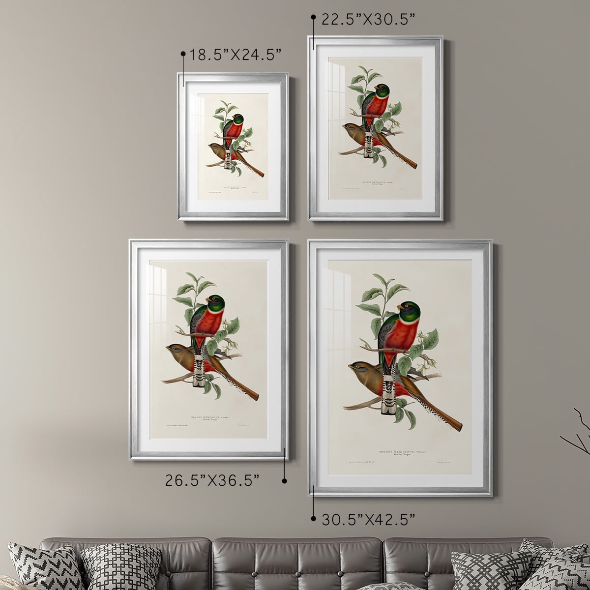 Wexford Home Elegant Trogons I Premium Framed Print, 30.5" x 42.5" - Ready to Hang, Silver (Set of 2)