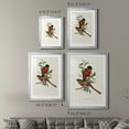 thumbnail image 4 of Wexford Home Elegant Trogons I Premium Framed Print, 30.5" x 42.5" - Ready to Hang, Silver (Set of 2), 4 of 9