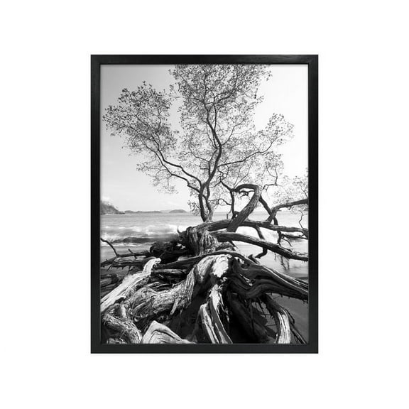 MCS 14x18 Solid Wood Art Frame In Black
