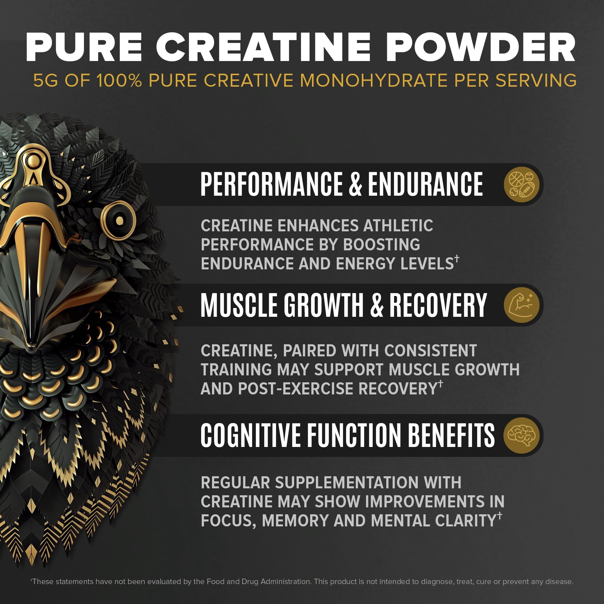 BIRDMAN Falcon Performance Vegan Protein Powder with Creatine, Vanilla Flavor, 29 Servings, 3lb