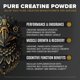 thumbnail image 5 of Proteína en polvo BIRDMAN Falcon Performance 31 g Protein Vegan, 5 of 7