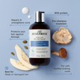thumbnail image 2 of CURLSMITH - Baume de Réadaptation pour Boucles Bond (2 Oz), 2 of 8
