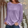 thumbnail image 6 of Women's Elegant Long Sleeve Tops Round Neck Vintage Velvet Blouse Velour Pullover Casual Solid Color Shirts Tees, 6 of 6
