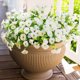 thumbnail image 1 of Flores artificiales HyeFlora White Morning Glory, 12 paquetes, 1 of 9