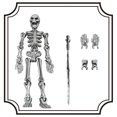 thumbnail image 2 of Articulated Skeleton Poseable Desktop Sculpture with Movable Joints for Collectors, 2 of 4