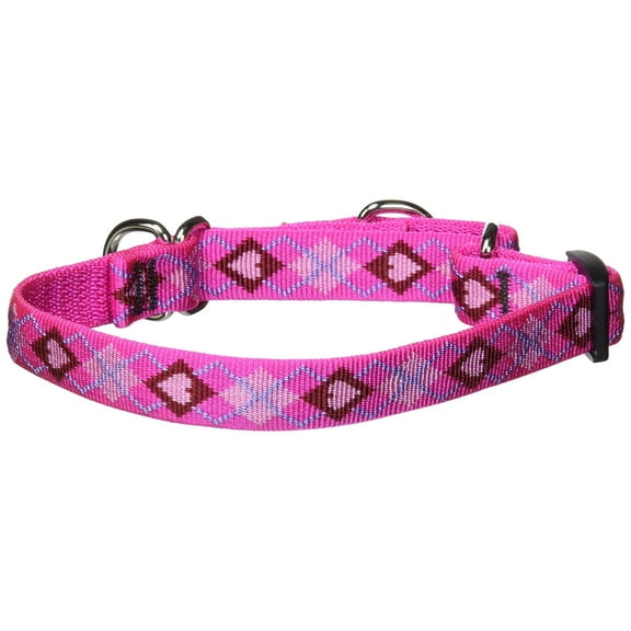 3/4in Puppy Love 10-14 Martingale Dog Collar