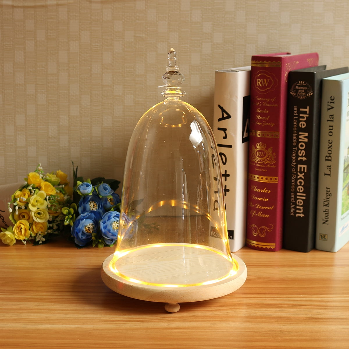 Glass Dome with Wood Base LED Light Round Bell Jar Clear Cloche Display
