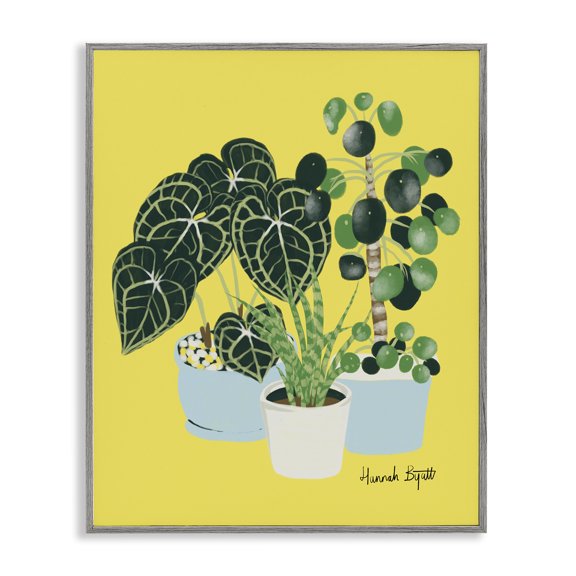 Stupell Industries Eclectic House Plants on Yellow Gray Framed Giclee Art, 16 x 20, by Hannah Byatt