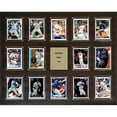 thumbnail image 1 of C&I Collectables 162014RIZZO Plaque de 14 Cartes MLB Anthony Rizzo Chicago Cubs, 1 of 1