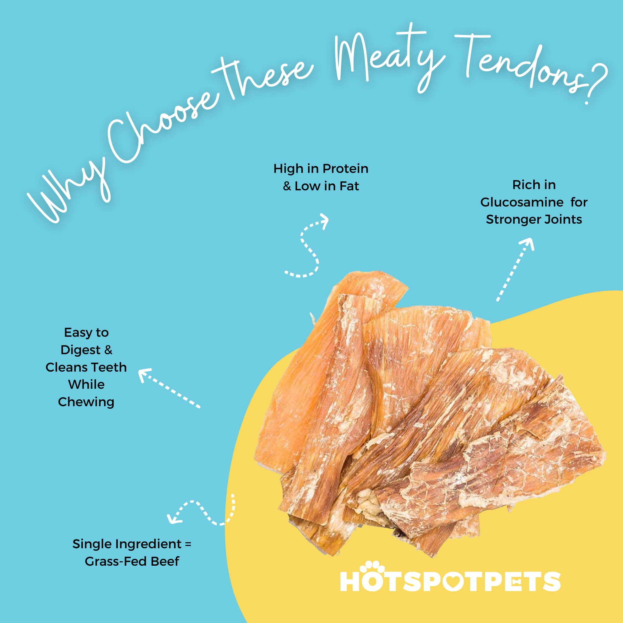 Hotspot Pets Beef Tendons for Dogs 6-8'' - Rawhide-Free Back Strap Flat Tendons Dog Treats (10 Pack)
