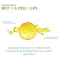 thumbnail image 3 of Giovanni Bio Cleanse Clarifying Shampoo - Eco Chic Technology - 8.5 oz., 3 of 10