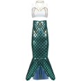 thumbnail image 3 of Disfraces de Halloween 2024 M-XL nuevo disfraz de sirena de Halloween ropa de cosplay discoteca dividida sirena femenina princesa falda larga, 3 of 4