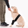 thumbnail image 5 of Manga de recuperación de cirugía para perros, pierna delantera derecha izquierda, mascota evita lamer la herida, protector de codo, traje de recuperación para perros, collar de cono, alterna, 5 of 5