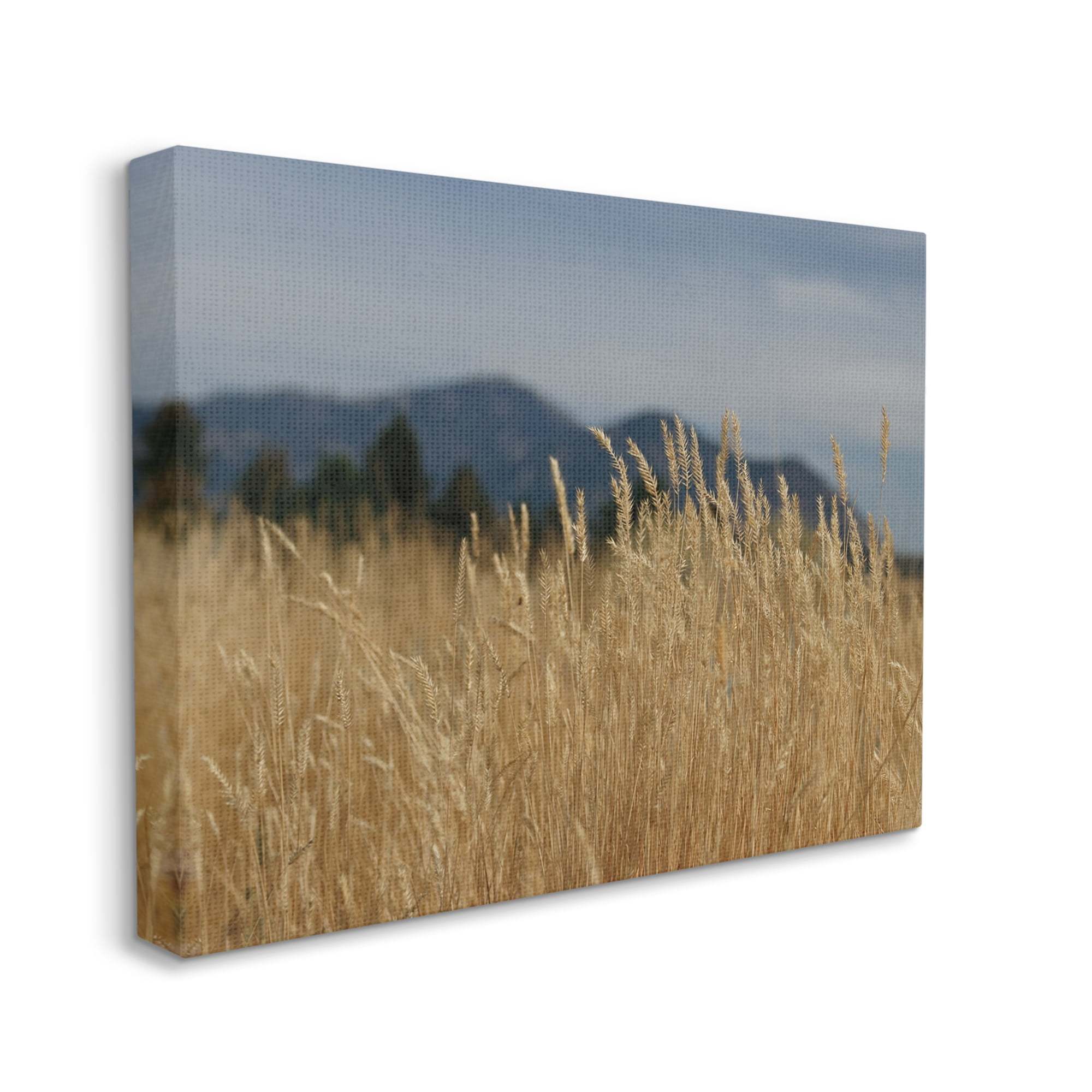 Stupell Industries Wheat Field Landscape Nature Photography Gallery Wrapped Canvas Print Wall Art, 20 x 16