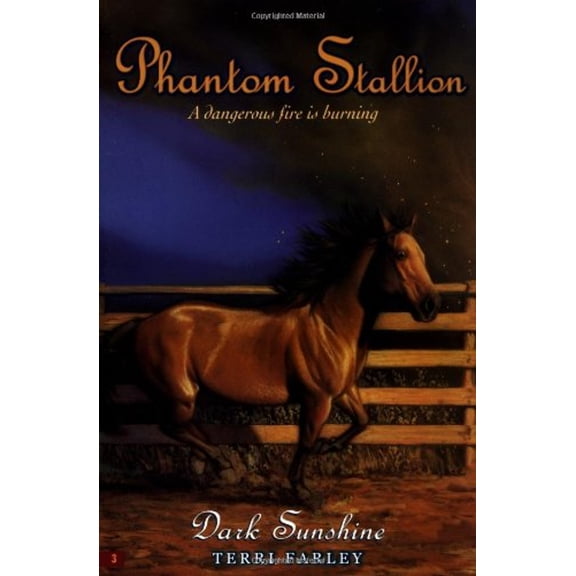 Pre-Owned Dark Sunshine (Phantom Stallion) Paperback