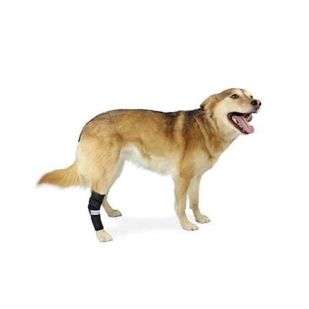 Extended Hock Support for Dogs Rear Leg Helps Canine