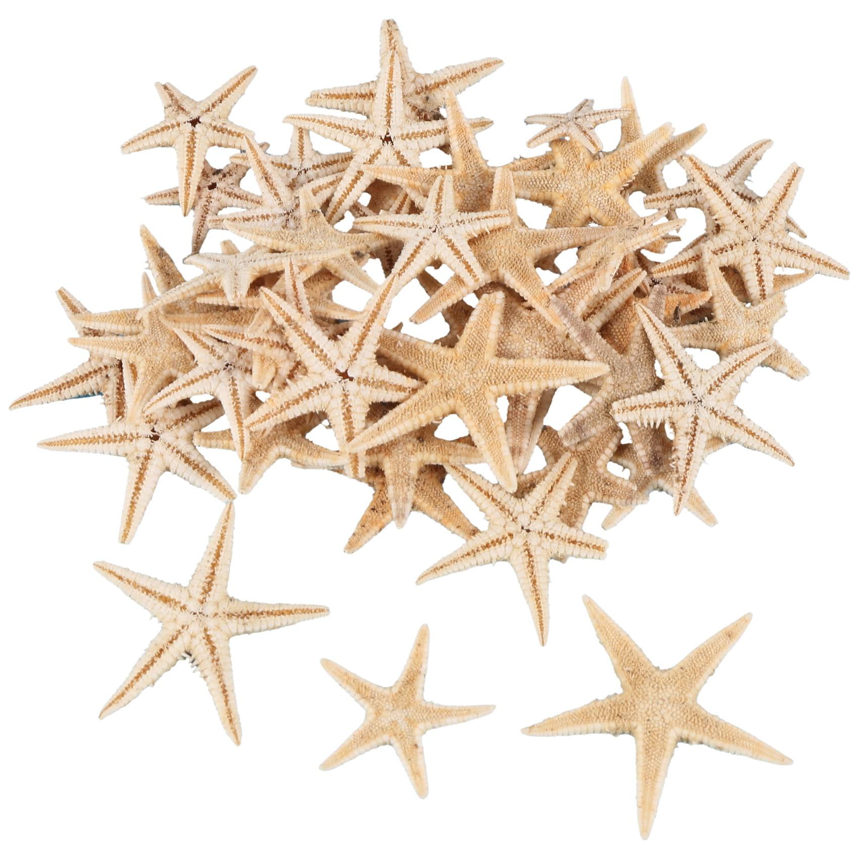 TIHOOD 90PCS 0.4-1.2 Small Starfish Star Sea Shell Beach Crafts Decor Yellow 