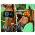 thumbnail image 4 of Gafas de Equitacia, Gafas de Carreras de Caballos A Prueba de Viento de Plástico Portátil para Suministros de Arnéss, 4 of 7