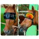 thumbnail image 4 of Gafas De Carreras De Caballos Gafas De Sol Con Deportes Protectores A Prueba De Viento Para Suministros Ecuestres, 4 of 7