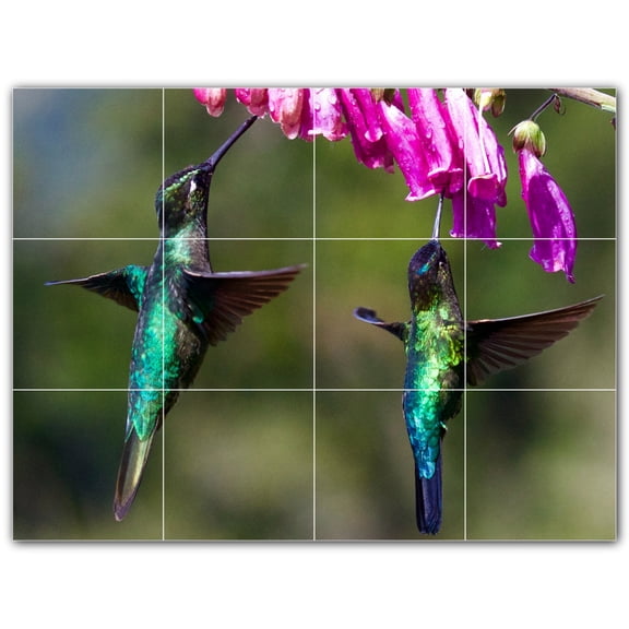 Picture-Tiles.com: Bird Ceramic Tile Wall Mural WAL500151-43XL. 48"W x 36"H using (12) 12" x 12" Ceramic Tiles-Satin Finish