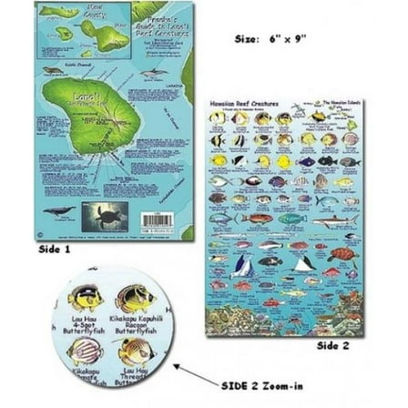 Franko Maps - Lanai Reef Creatures Fish ID