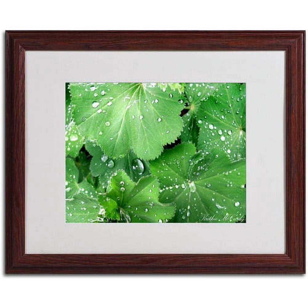 Trademark Art 'Water Droplets' Matted Framed Art by Kathie McCurdy