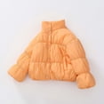 thumbnail image 3 of Jalioing Toddler Girls Puffer Jacket Winter Thermal Long Sleeve Stand Collar Puffy Coat Fashion Cute Outerwear with Pocket, 3 of 5