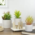 thumbnail image 2 of 8.25" Potted Green Artificial Agave Plant with Wooden Stand, 2 of 5