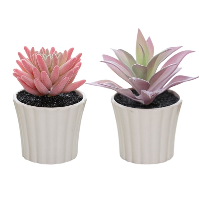 2 uds mini combinación suculenta en maceta pequeños adornos creativos plantas de plástico verde artificial