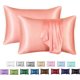 thumbnail image 1 of POWKOL - Funda de almohada de satén para cabello y piel, paquete de 2 fundas de almohada de satén de seda, tamaño estándar (juego de 2), funda de almohada sedosa con cierre tipo sobre (50,8 x 76,2, 1 of 6