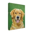 thumbnail image 2 of Trademark Fine Art 'Dog Portrait Golden' Canvas Art by Jill Sands, 2 of 4