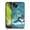 Dolphin, variant on Head Case Designs Officially Licensed Brigid Ashwood Celtic Wisdom Dragonfly Soft Gel Case Compatible with Apple iPhone 12 Mini