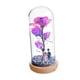 thumbnail image 3 of Adorno de escritorio con rosa iluminada en una cúpula de cristal para cumpleaños, San Valentín, aniversario, 3 of 9