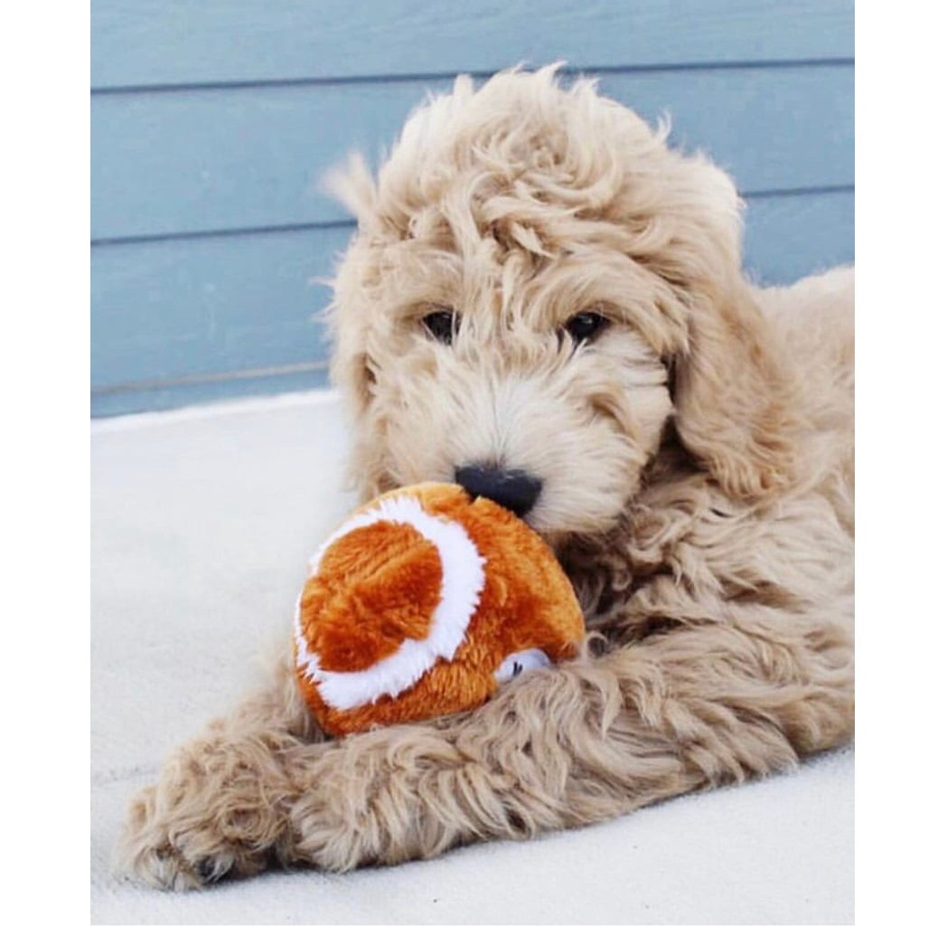 Dog Toys 6" Brown Plush Football Soft Stuffed Sport Ball Fetch Play with Squeaker Choose Quantity (2 Balls)