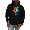 thumbnail image 3 of Harry Potter Mens Hogwarts Junior Crest Hoodie, 3 of 5
