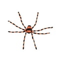thumbnail image 1 of Decoraciones de Halloween Araña gigante Araña peluda aterradora Modelo de araña Araña enorme Decoración de araña grande para interiores y exteriores 200cm, 1 of 9