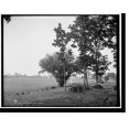 thumbnail image 2 of Historic Framed Print, The Wheatfield [i.e. Wheat Field], Gettysburg, 17-7/8" x 21-7/8", 2 of 9
