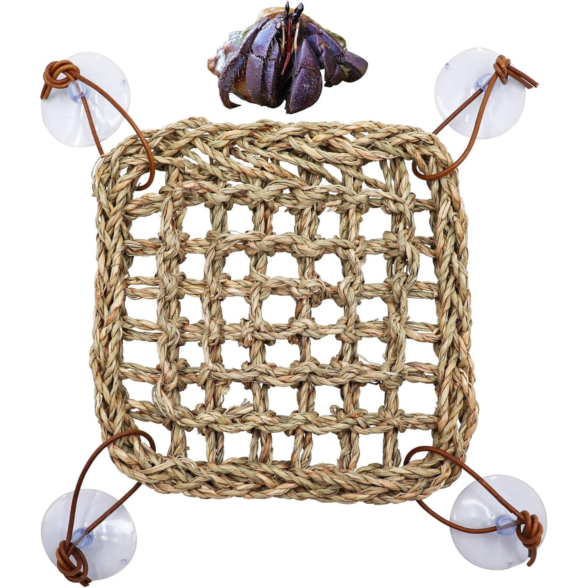 Hermit Crab Climbing Toys Seagrass Mat with Suction Cup, GIXUSIL Natural Seagrass Woven Net Hammock, Small Reptiles Accessories for Hermit Crab Hamster Guinea Pig Rats 7.1 x 7.1in