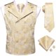 thumbnail image 1 of Conjunto de chaleco Hi-Tie con doble botonadura, color champán para hombre, 1 of 6